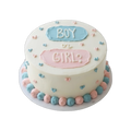 Boy or Girl? Gender Reveal Cake
