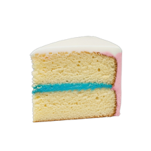 Load image into Gallery viewer, Ombre Gender Reveal Cake
