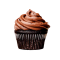 Chocolate Cupcake