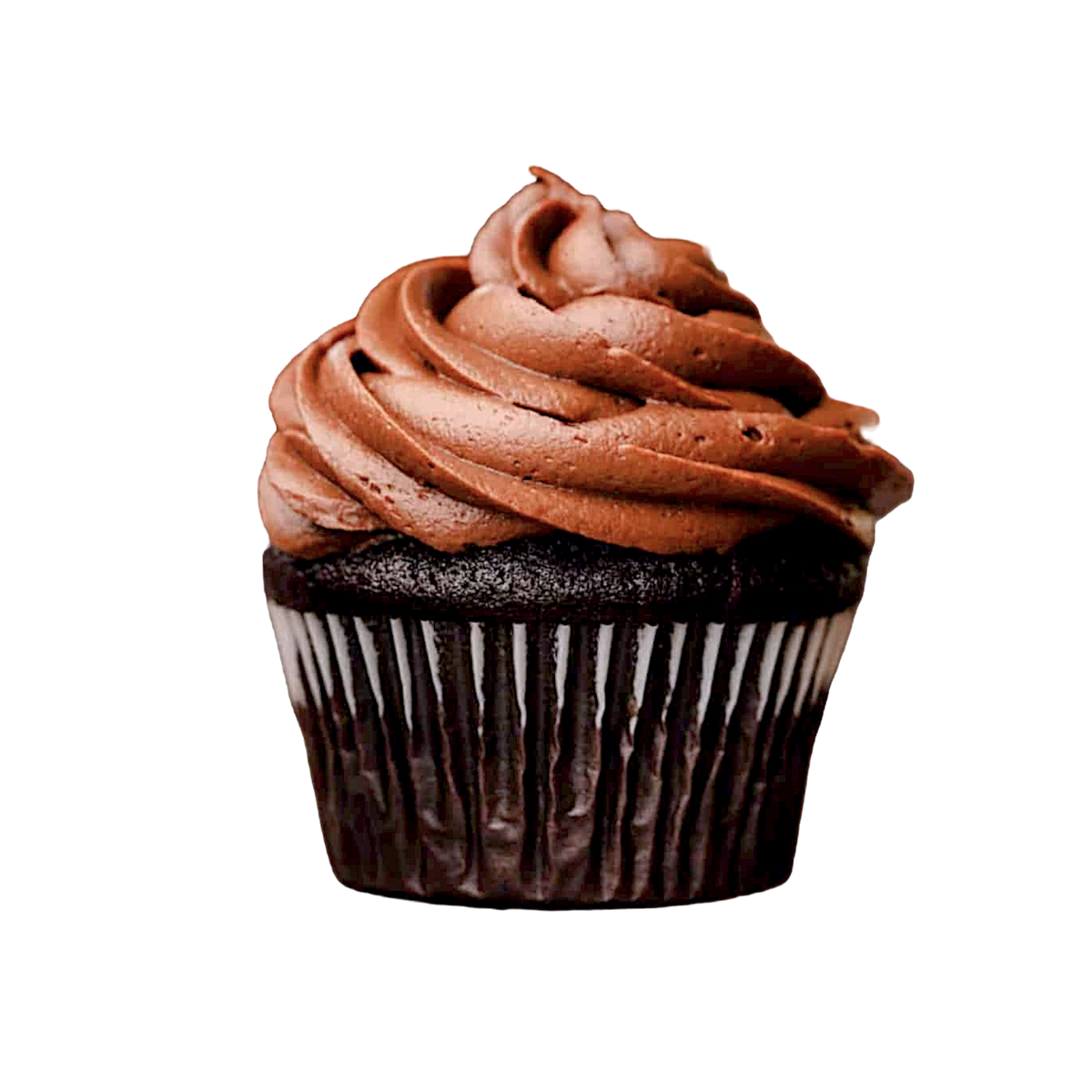 Chocolate Cupcake